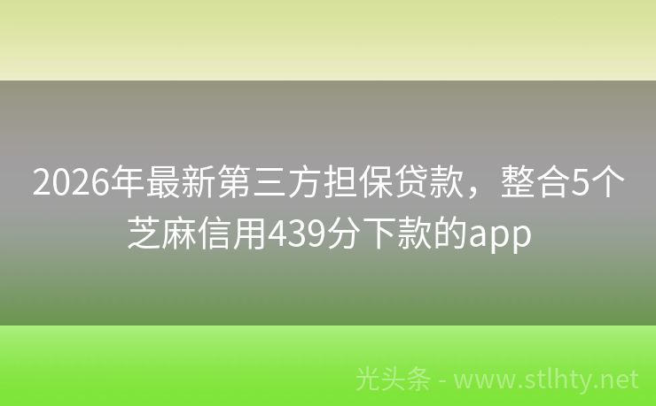 2026年最新第三方担保贷款，整合5个芝麻信用439分下款的app