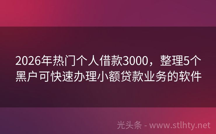 2026年热门个人借款3000，整理5个黑户可快速办理小额贷款业务的软件