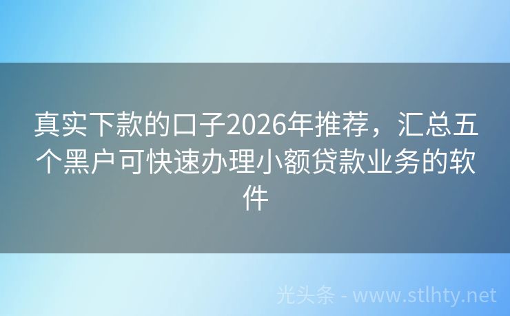 真实下款的口子2026年推荐，汇总五个黑户可快速办理小额贷款业务的软件