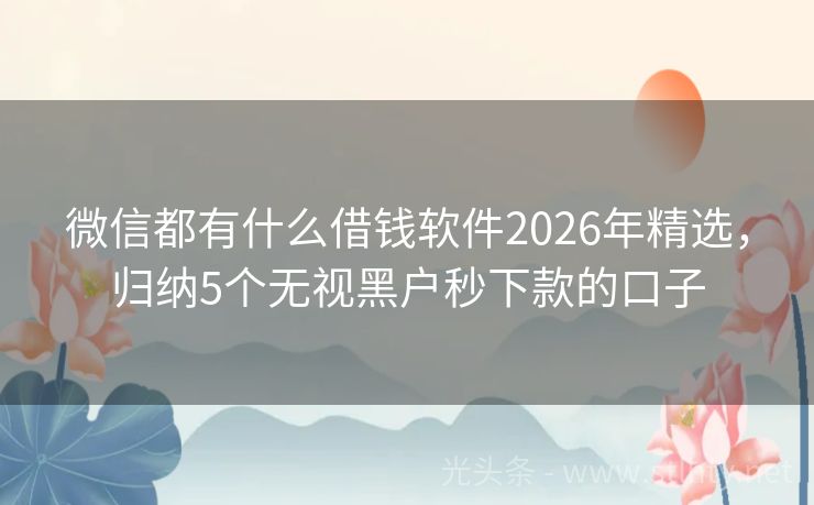 微信都有什么借钱软件2026年精选,归纳5个无视黑户秒下款的口子