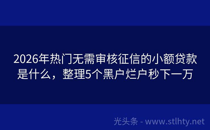 2026年热门无需审核征信的小额贷款是什么，整理5个黑户烂户秒下一万