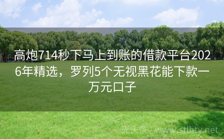 高炮714秒下马上到账的借款平台2026年精选，罗列5个无视黑花能下款一万元口子