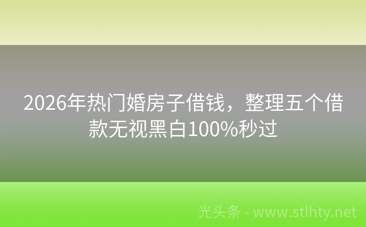 2026年热门婚房子借钱，整理五个借款无视黑白100%秒过