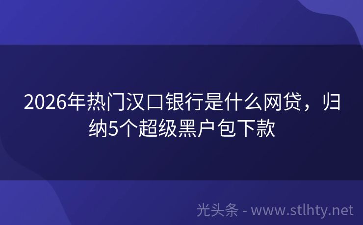 2026年热门汉口银行是什么网贷，归纳5个超级黑户包下款