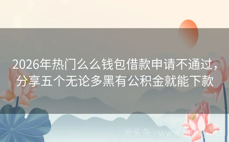 2026年热门么么钱包借款申请不通过，分享五个无论多黑有公积金就能下款
