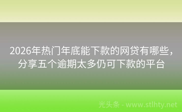 2026年热门年底能下款的网贷有哪些，分享五个逾期太多仍可下款的平台