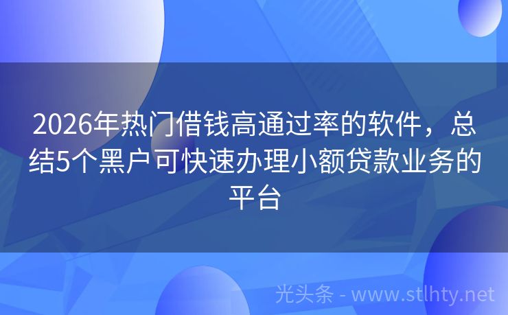 2026年热门借钱高通过率的软件，总结5个黑户可快速办理小额贷款业务的平台