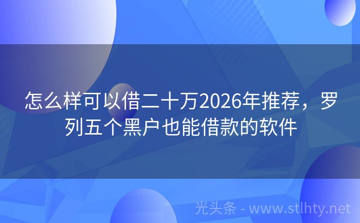 怎么样可以借二十万2026年推荐，罗列五个黑户也能借款的软件