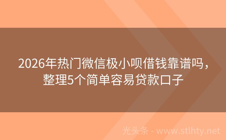 2026年热门微信极小呗借钱靠谱吗，整理5个简单容易贷款口子
