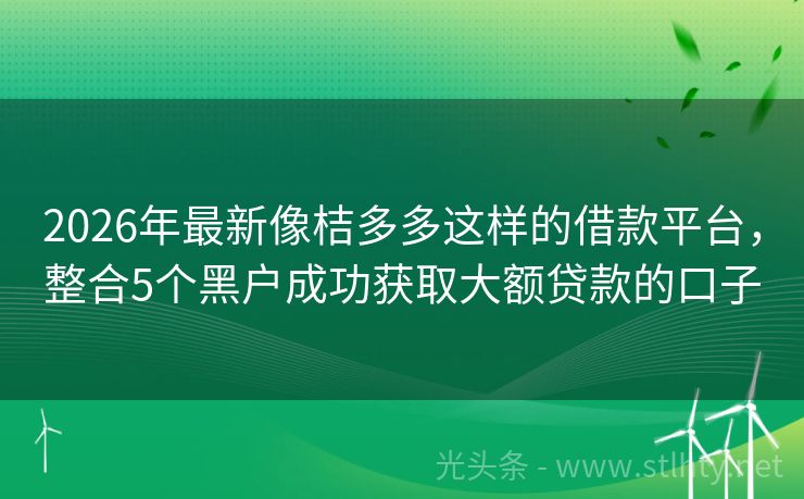 2026年最新像桔多多这样的借款平台，整合5个黑户成功获取大额贷款的口子