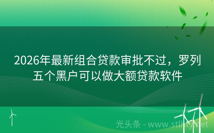 2026年最新组合贷款审批不过，罗列五个黑户可以做大额贷款软件
