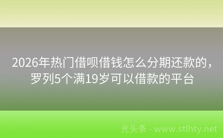 2026年热门借呗借钱怎么分期还款的，罗列5个满19岁可以借款的平台