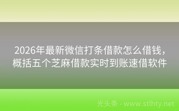 2026年最新微信打条借款怎么借钱，概括五个芝麻借款实时到账速借软件