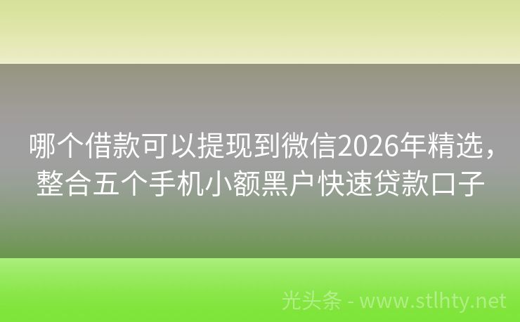 哪个借款可以提现到微信2026年精选，整合五个手机小额黑户快速贷款口子