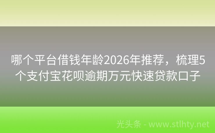 哪个平台借钱年龄2026年推荐，梳理5个支付宝花呗逾期万元快速贷款口子