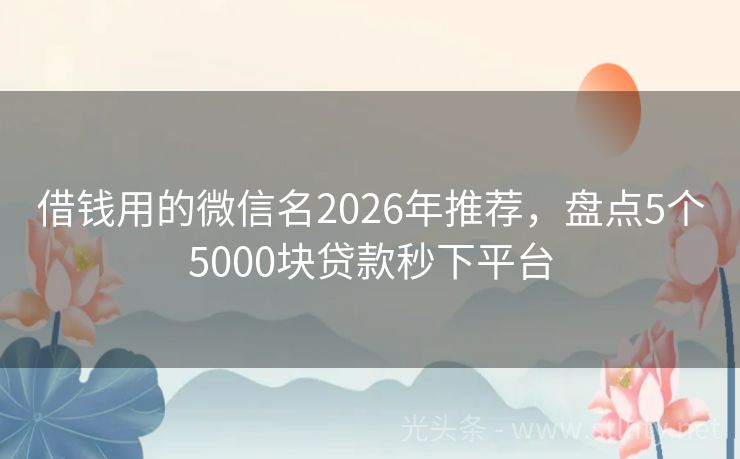 借钱用的微信名2026年推荐，盘点5个5000块贷款秒下平台