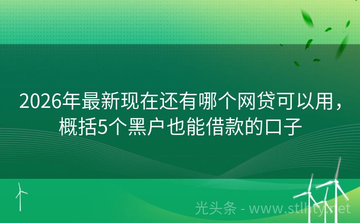 2026年最新现在还有哪个网贷可以用，概括5个黑户也能借款的口子