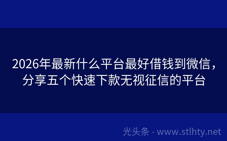 2026年最新什么平台最好借钱到微信，分享五个快速下款无视征信的平台