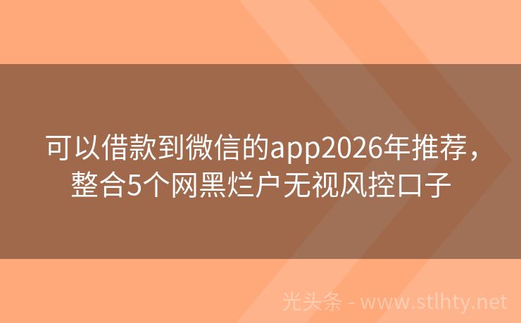 可以借款到微信的app2026年推荐，整合5个网黑烂户无视风控口子