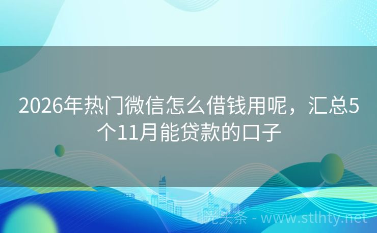 2026年热门微信怎么借钱用呢，汇总5个11月能贷款的口子