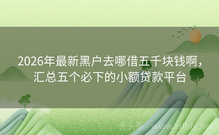 2026年最新黑户去哪借五千块钱啊，汇总五个必下的小额贷款平台