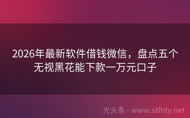 2026年最新软件借钱微信，盘点五个无视黑花能下款一万元口子