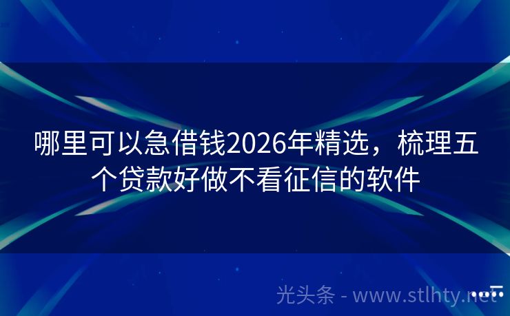 哪里可以急借钱2026年精选，梳理五个贷款好做不看征信的软件