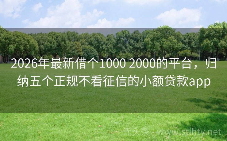 2026年最新借个1000 2000的平台，归纳五个正规不看征信的小额贷款app