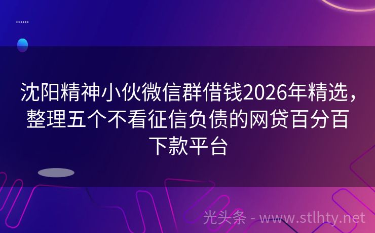 沈阳精神小伙微信群借钱2026年精选，整理五个不看征信负债的网贷百分百下款平台