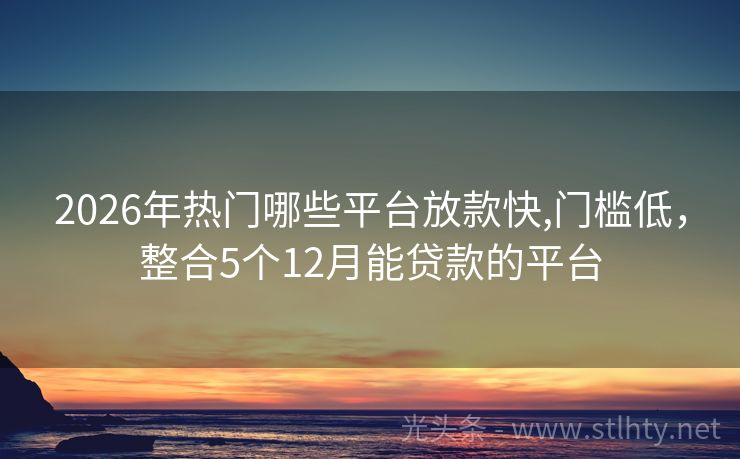 2026年热门哪些平台放款快,门槛低，整合5个12月能贷款的平台