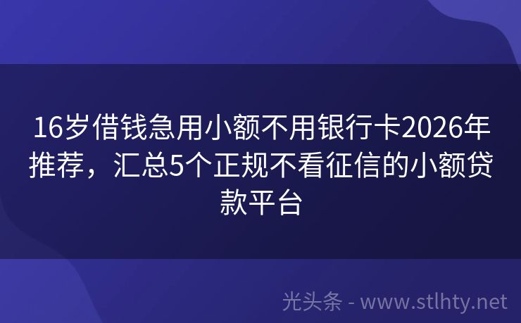 16岁借钱急用小额不用银行卡2026年推荐，汇总5个正规不看征信的小额贷款平台