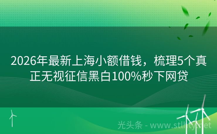 2026年最新上海小额借钱，梳理5个真正无视征信黑白100%秒下网贷