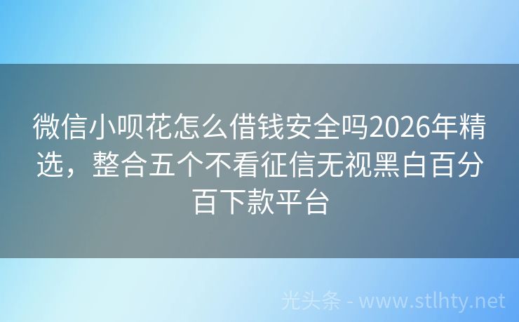 微信小呗花怎么借钱安全吗2026年精选，整合五个不看征信无视黑白百分百下款平台