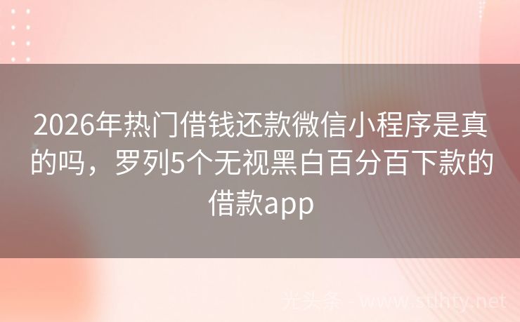 2026年热门借钱还款微信小程序是真的吗，罗列5个无视黑白百分百下款的借款app