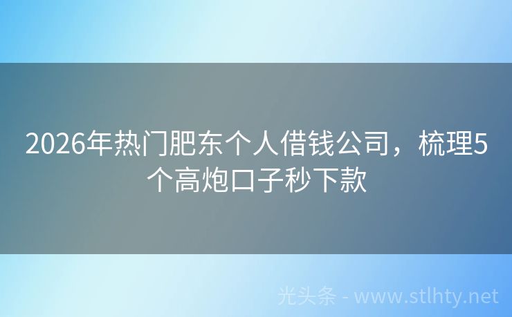 2026年热门肥东个人借钱公司，梳理5个高炮口子秒下款