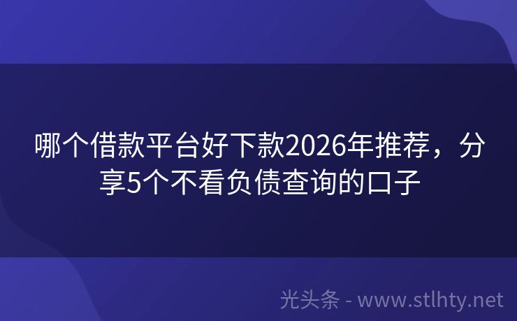 哪个借款平台好下款2026年推荐，分享5个不看负债查询的口子