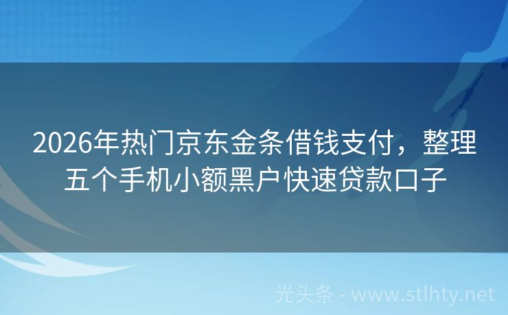 2026年热门京东金条借钱支付，整理五个手机小额黑户快速贷款口子