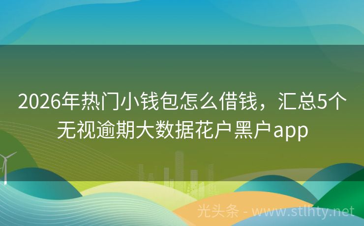 2026年热门小钱包怎么借钱，汇总5个无视逾期大数据花户黑户app