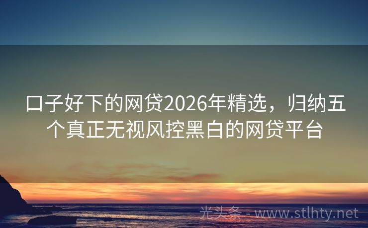 口子好下的网贷2026年精选，归纳五个真正无视风控黑白的网贷平台