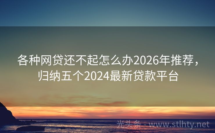 各种网贷还不起怎么办2026年推荐，归纳五个2024最新贷款平台