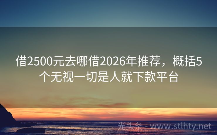借2500元去哪借2026年推荐，概括5个无视一切是人就下款平台