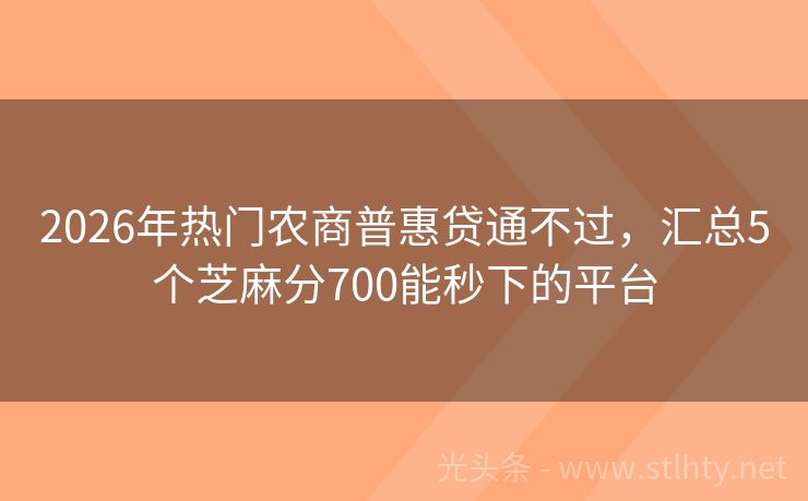 2026年热门农商普惠贷通不过，汇总5个芝麻分700能秒下的平台