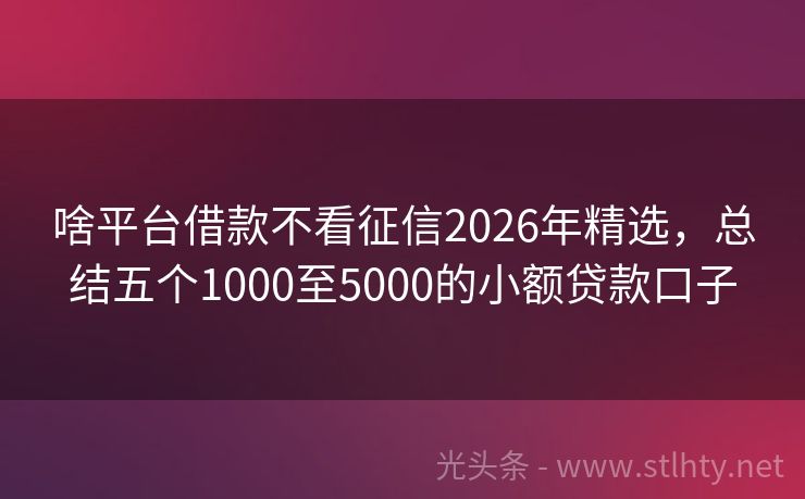 啥平台借款不看征信2026年精选,总结五个1000至5000的小额贷款口子