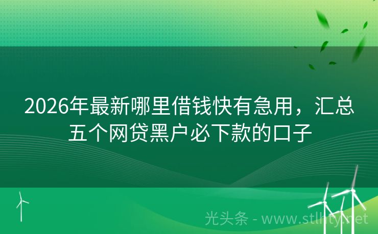 2026年最新哪里借钱快有急用，汇总五个网贷黑户必下款的口子
