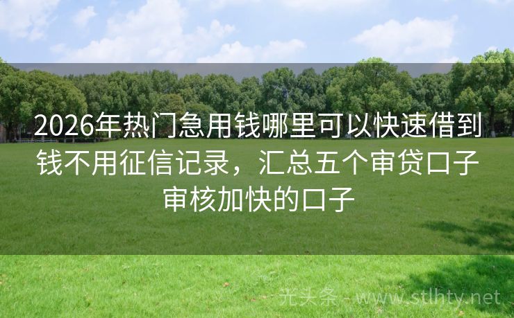 2026年热门急用钱哪里可以快速借到钱不用征信记录，汇总五个审贷口子审核加快的口子