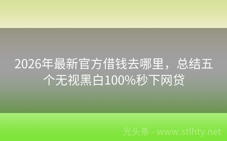 2026年最新官方借钱去哪里，总结五个无视黑白100%秒下网贷