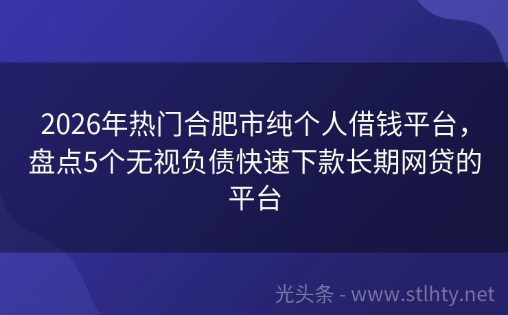 2026年热门合肥市纯个人借钱平台，盘点5个无视负债快速下款长期网贷的平台