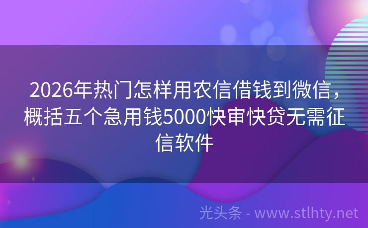 2026年热门怎样用农信借钱到微信，概括五个急用钱5000快审快贷无需征信软件