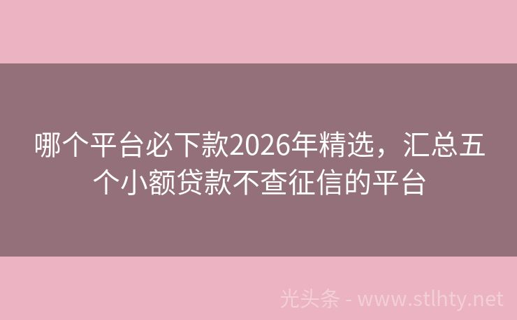哪个平台必下款2026年精选，汇总五个小额贷款不查征信的平台
