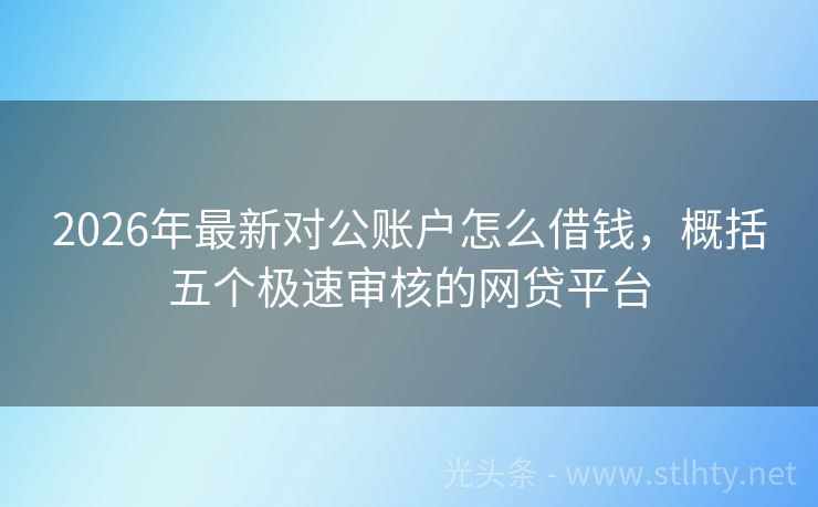 2026年最新对公账户怎么借钱，概括五个极速审核的网贷平台